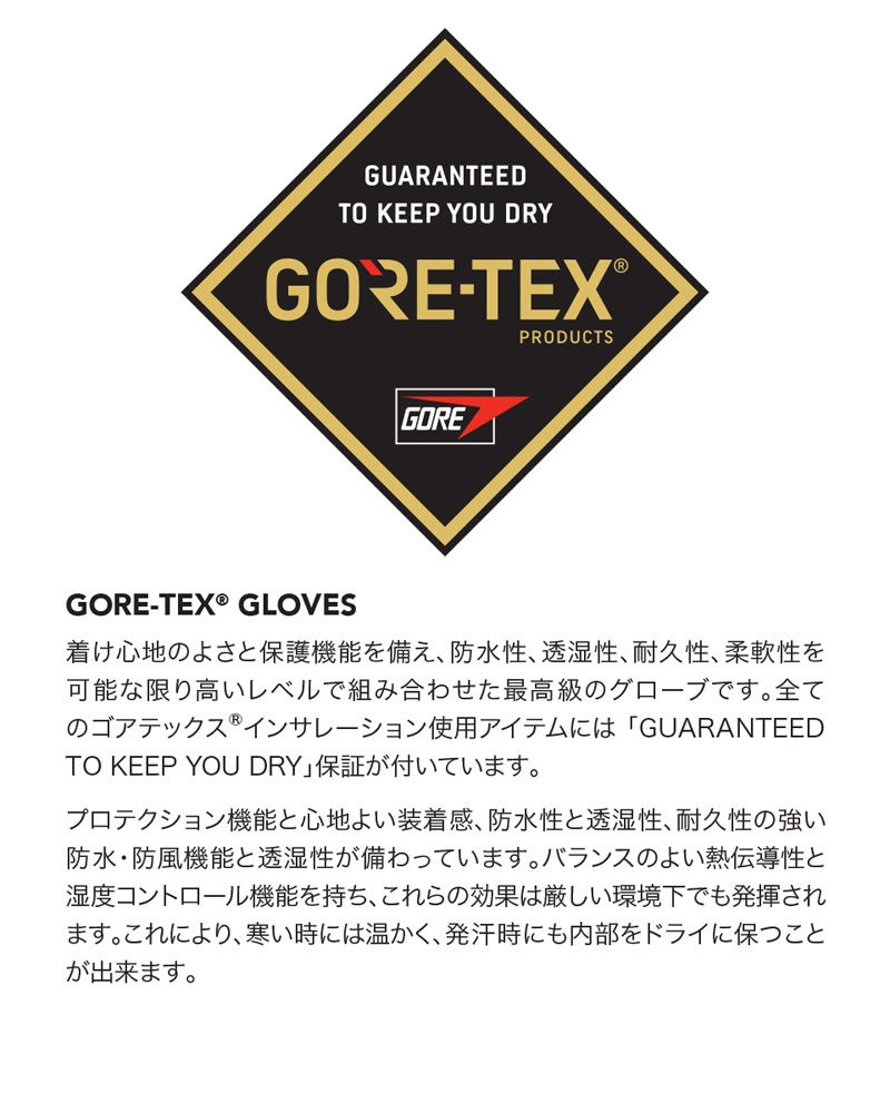 OUTLET】DAKINE メンズ EXCURSION GORE-TEX MITT スノーグローブ BLK